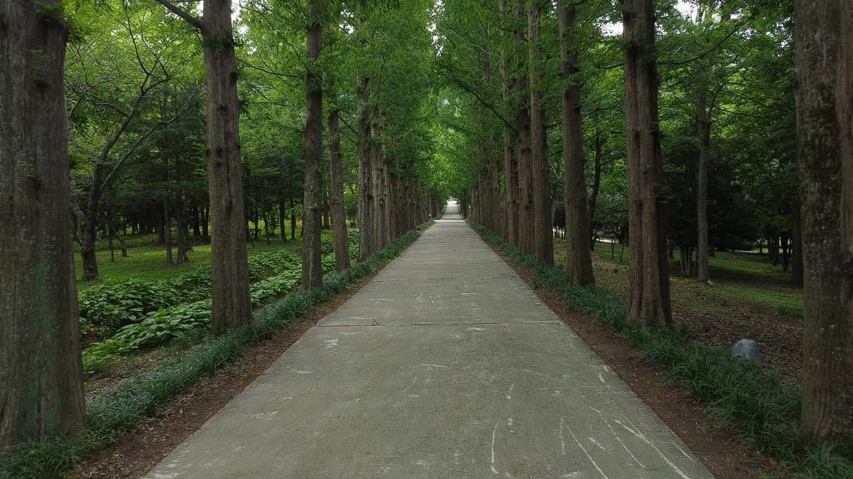 내일뉴 메인 이미지 2